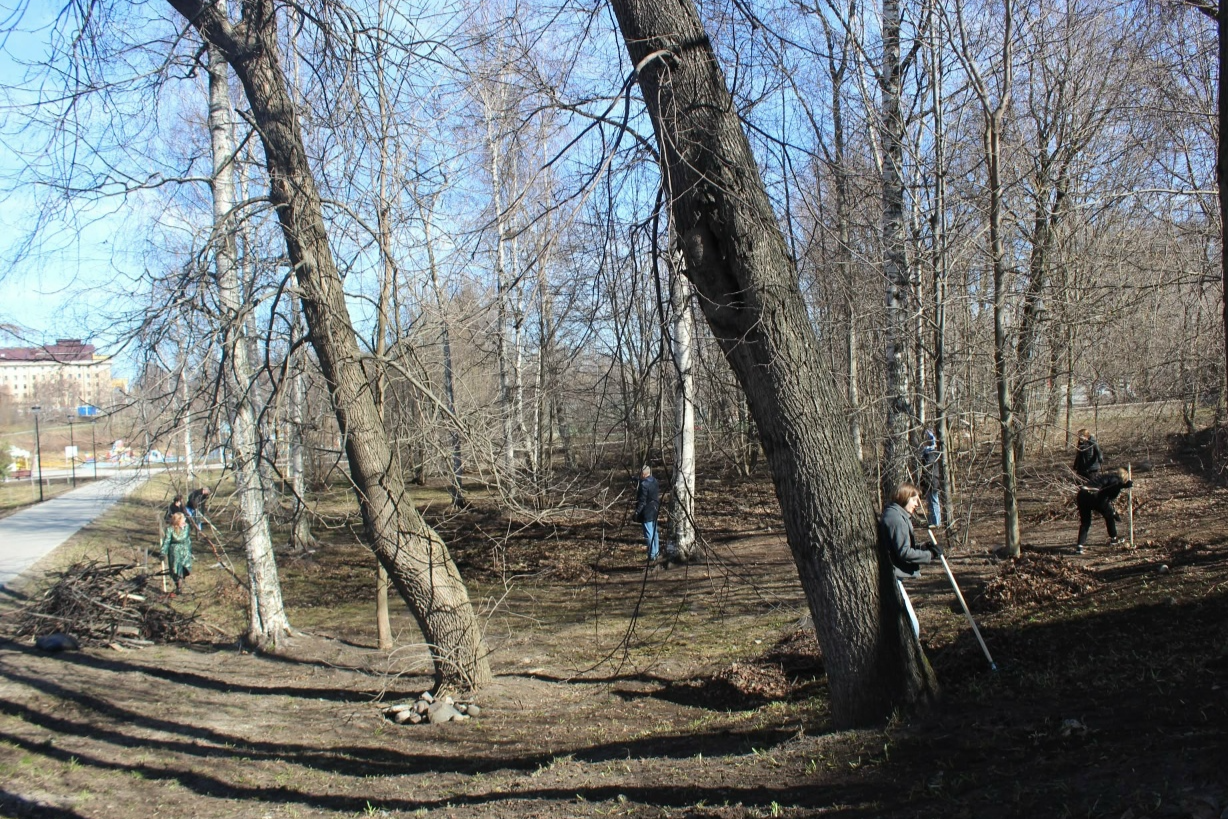 Элемент галереи №2