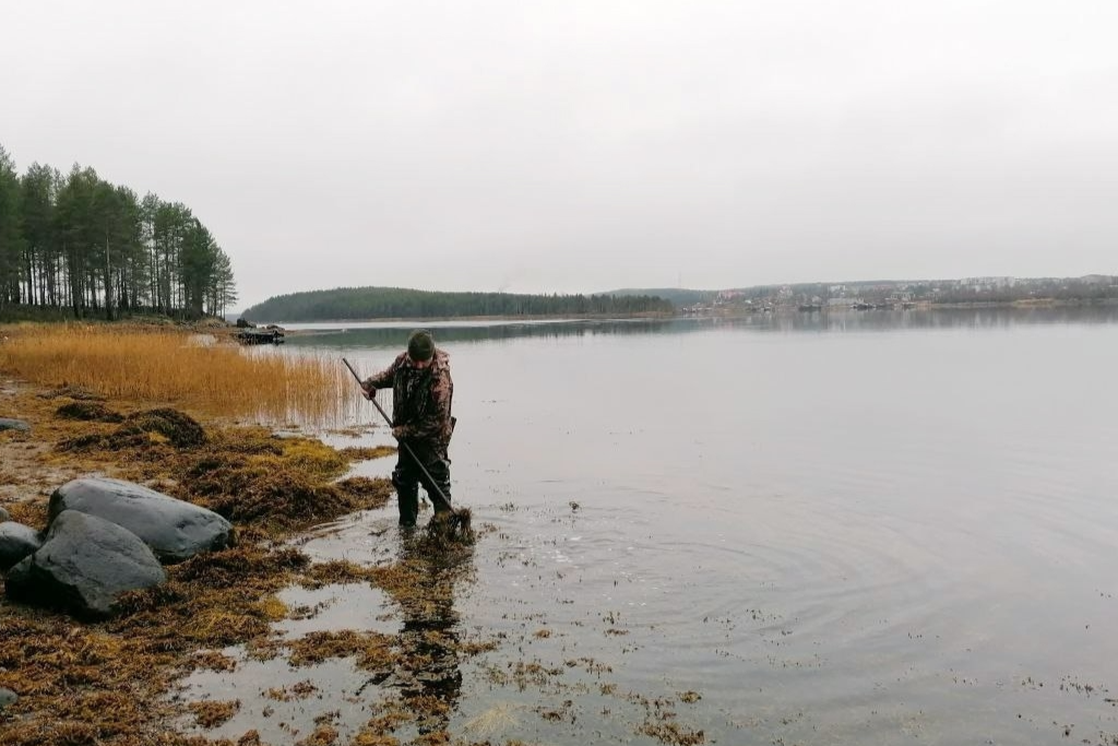 Элемент галереи №2