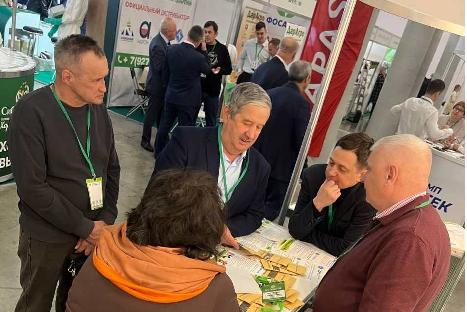 Элемент галереи №3