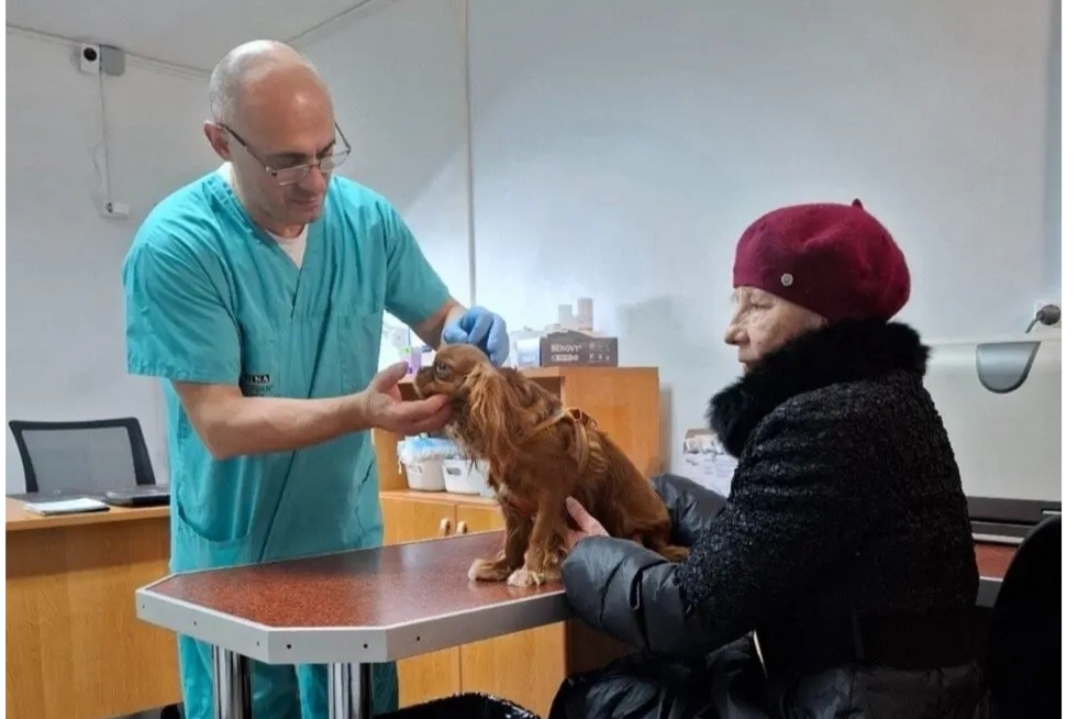 Элемент галереи №1