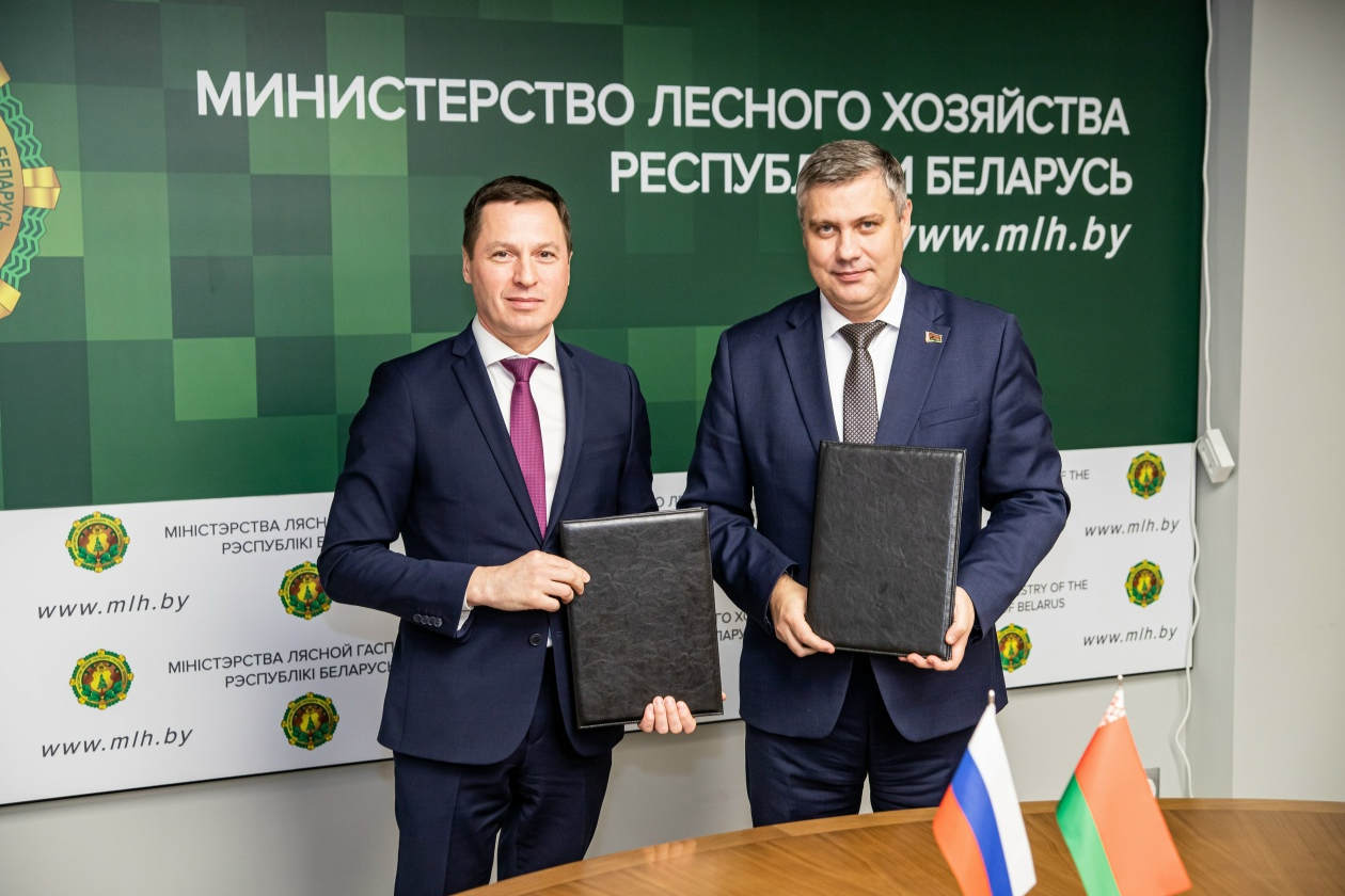 Элемент галереи №0