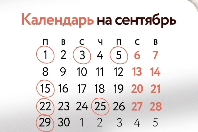 Элемент галереи №0