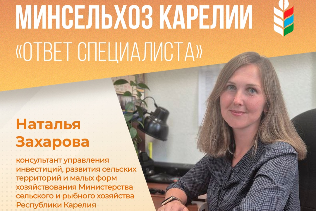 Элемент галереи №0