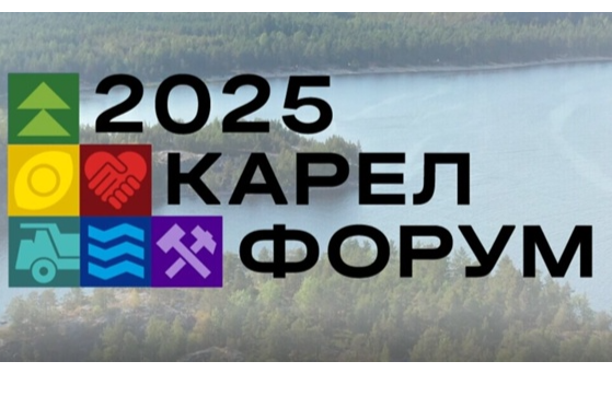 Элемент галереи №0