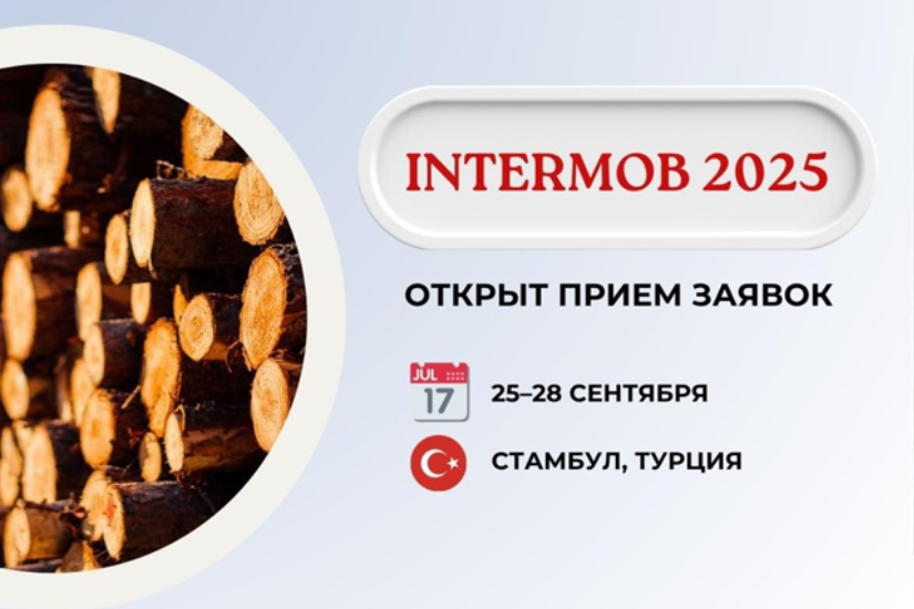 Выведем на экспорт карельскую продукцию лесопромышленного комплекса