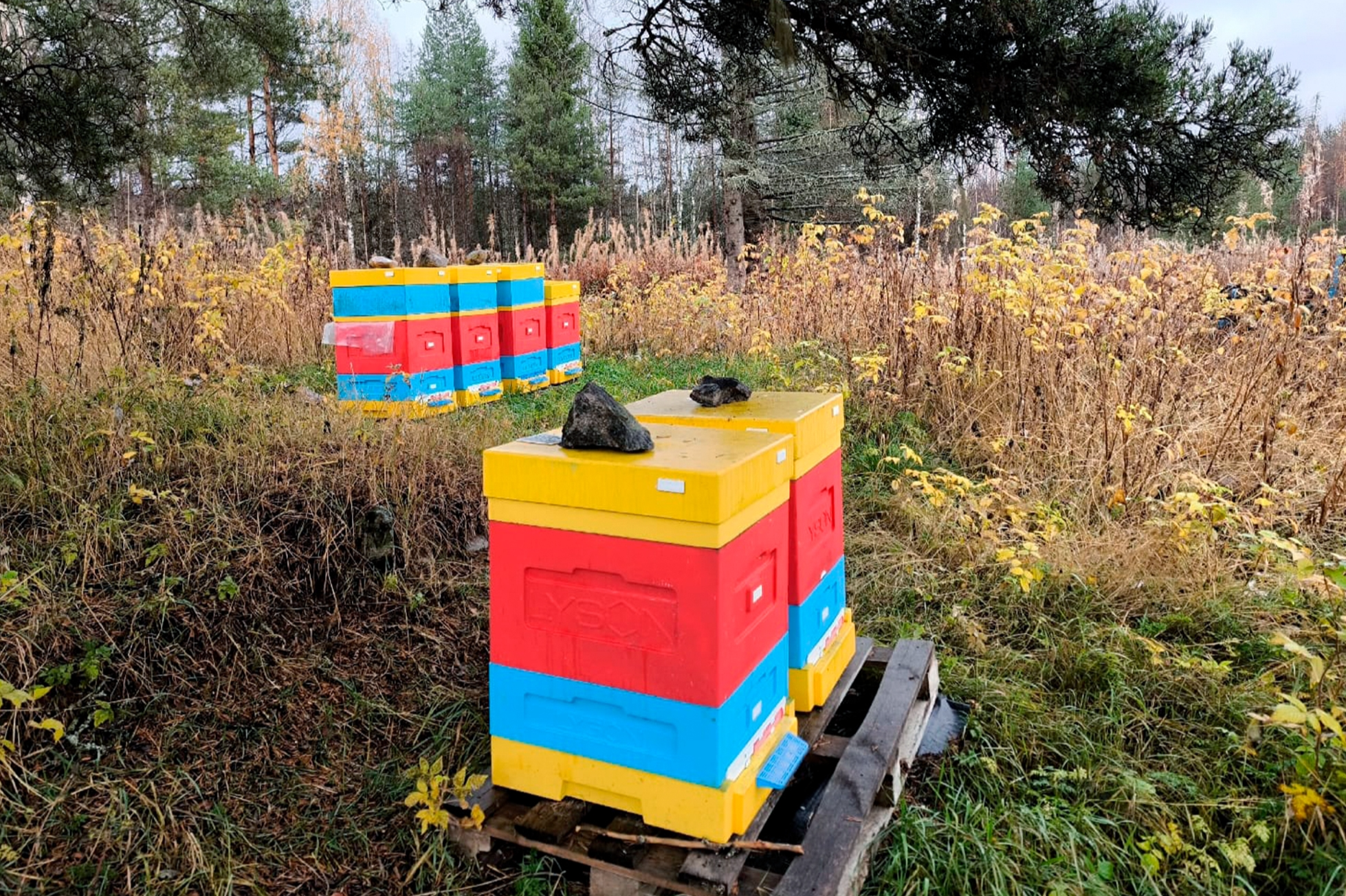 ΠΠ»Π΅ΠΌΠ΅Π½Ρ Π³Π°Π»Π΅ΡΠ΅ΠΈ β1