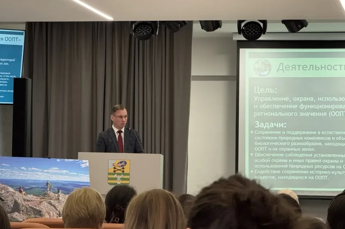 Элемент галереи №1