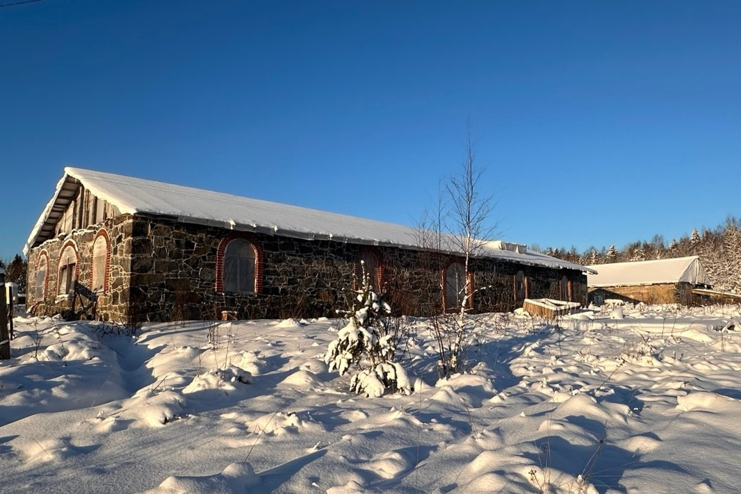 Элемент галереи №1