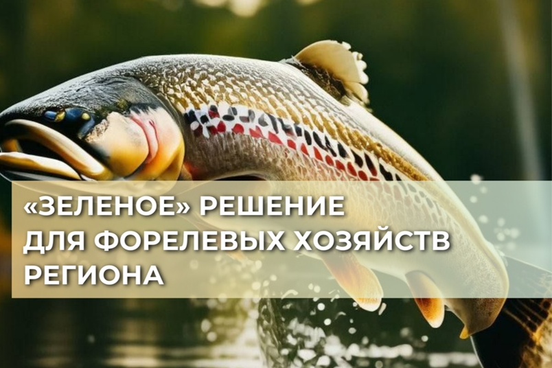 Элемент галереи №0