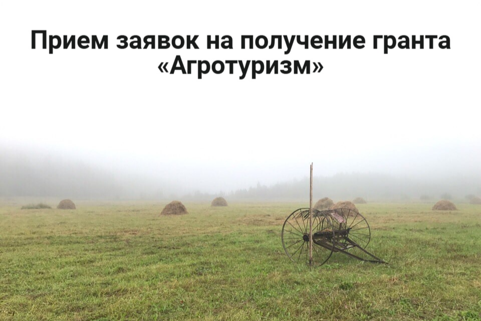 Элемент галереи №0