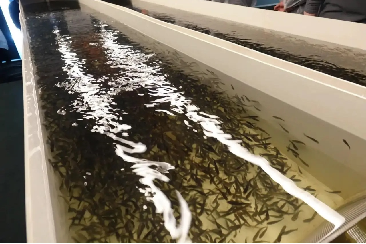 Элемент галереи №2