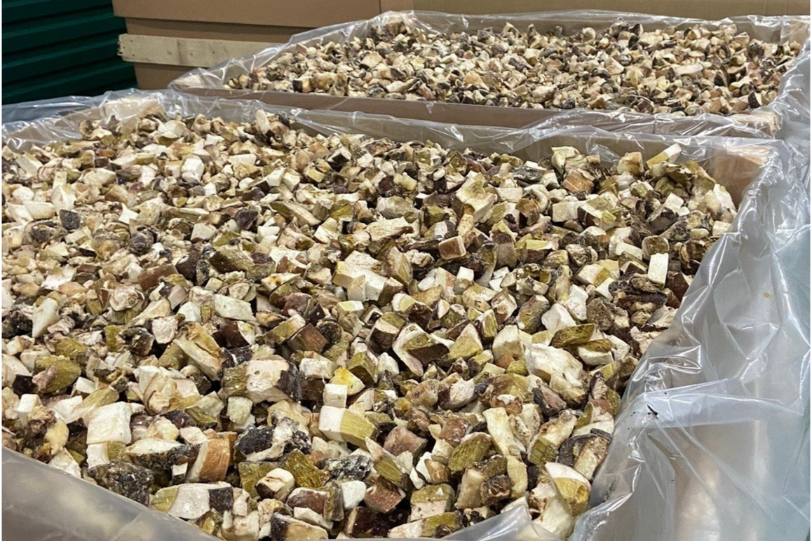 Элемент галереи №1