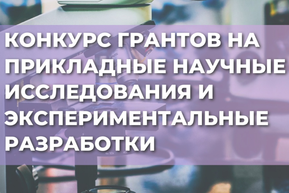 Элемент галереи №0
