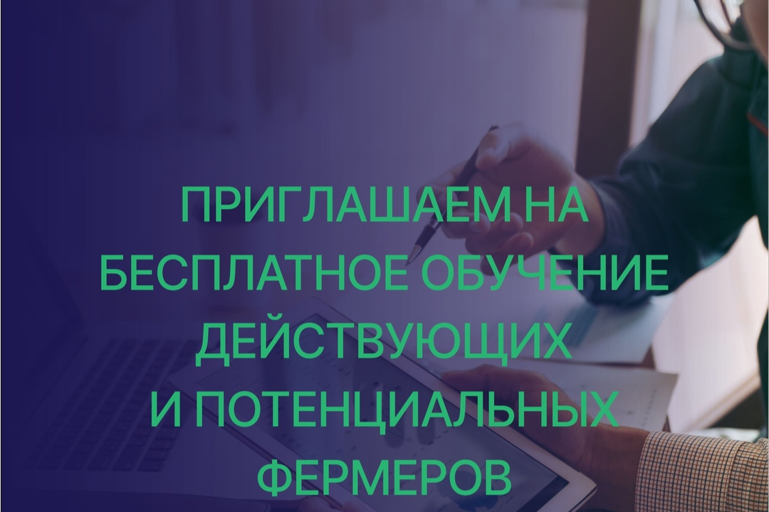 Элемент галереи №0