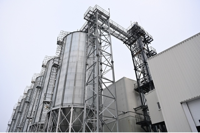 Элемент галереи №5