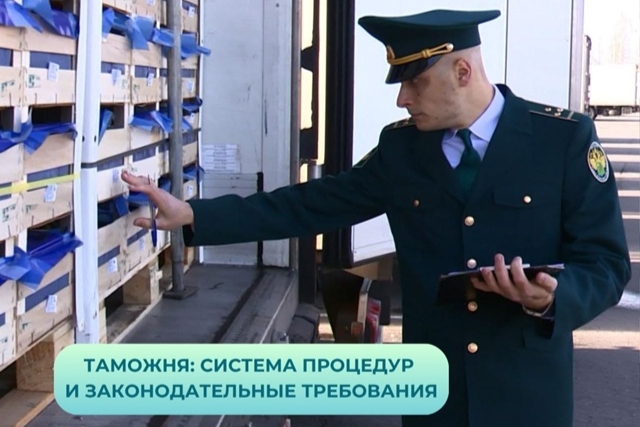 Элемент галереи №0