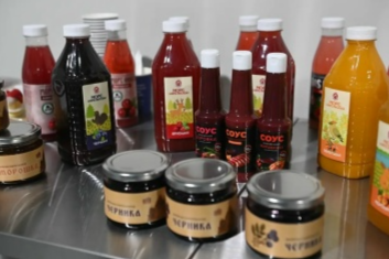 Элемент галереи №0