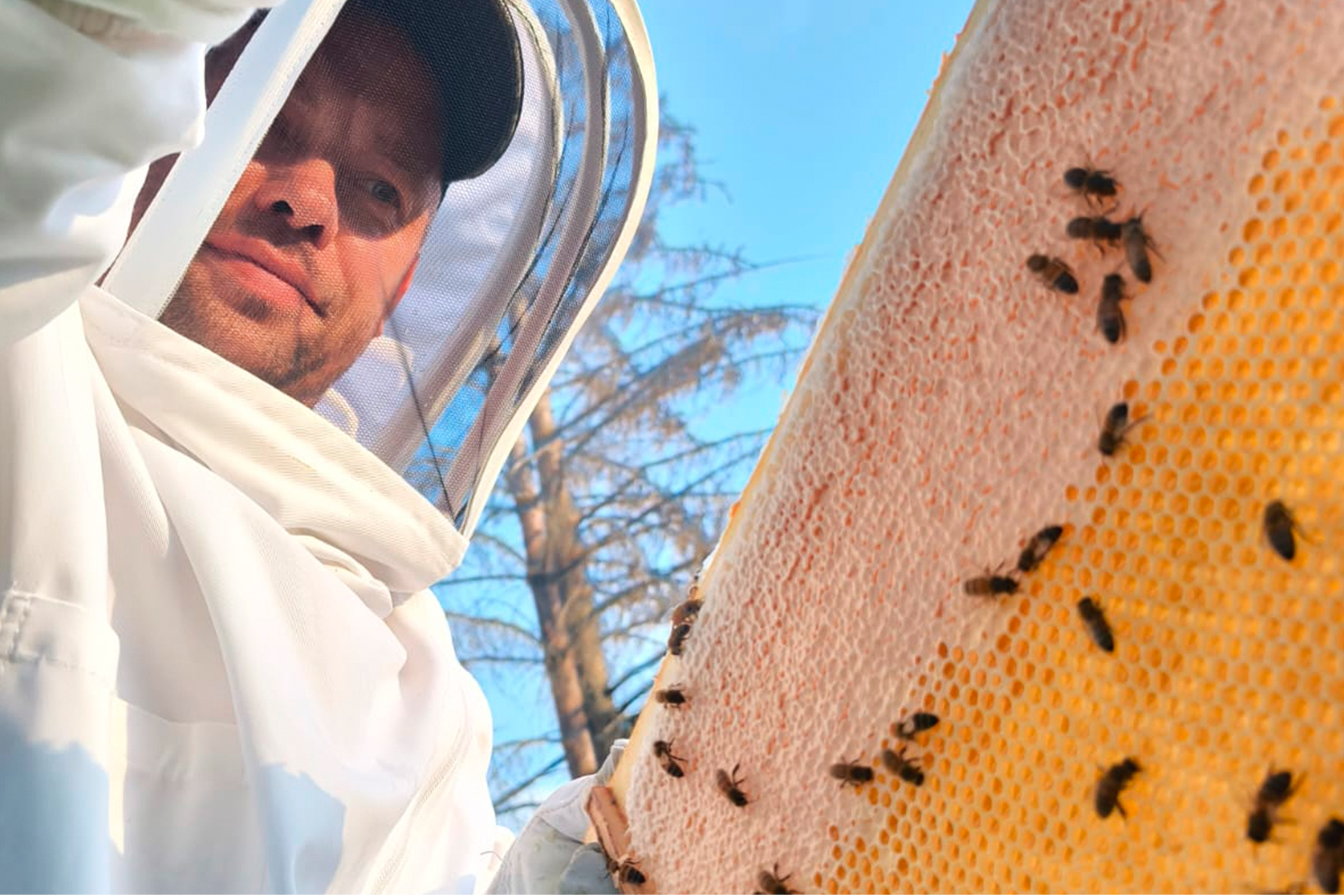 ΠΠ»Π΅ΠΌΠ΅Π½Ρ Π³Π°Π»Π΅ΡΠ΅ΠΈ β5