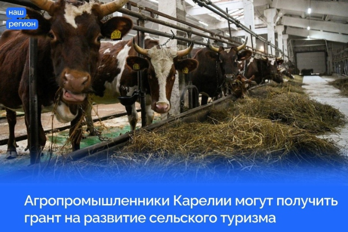 Грант до 8 млн рублей на развитие сельского туризма могут получить агропромышленники Карелии. Отбор проектов на 2025 год проводит Минсельхоз РФ.