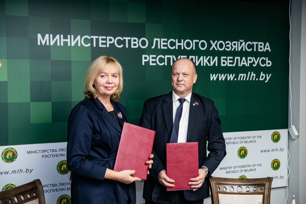 Элемент галереи №3