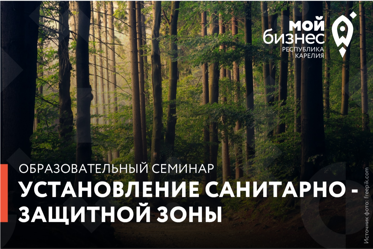 Элемент галереи №0