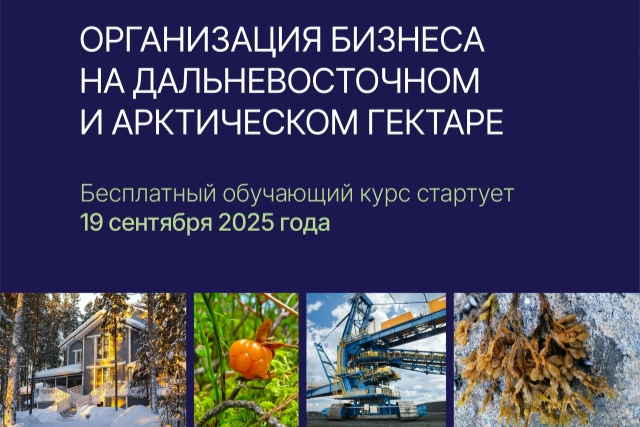 Элемент галереи №0