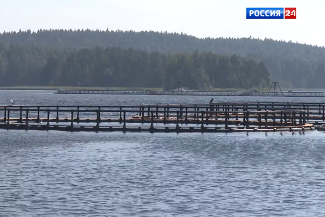 Элемент галереи №0