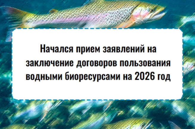 ΠΠ»Π΅ΠΌΠ΅Π½Ρ Π³Π°Π»Π΅ΡΠ΅ΠΈ β0