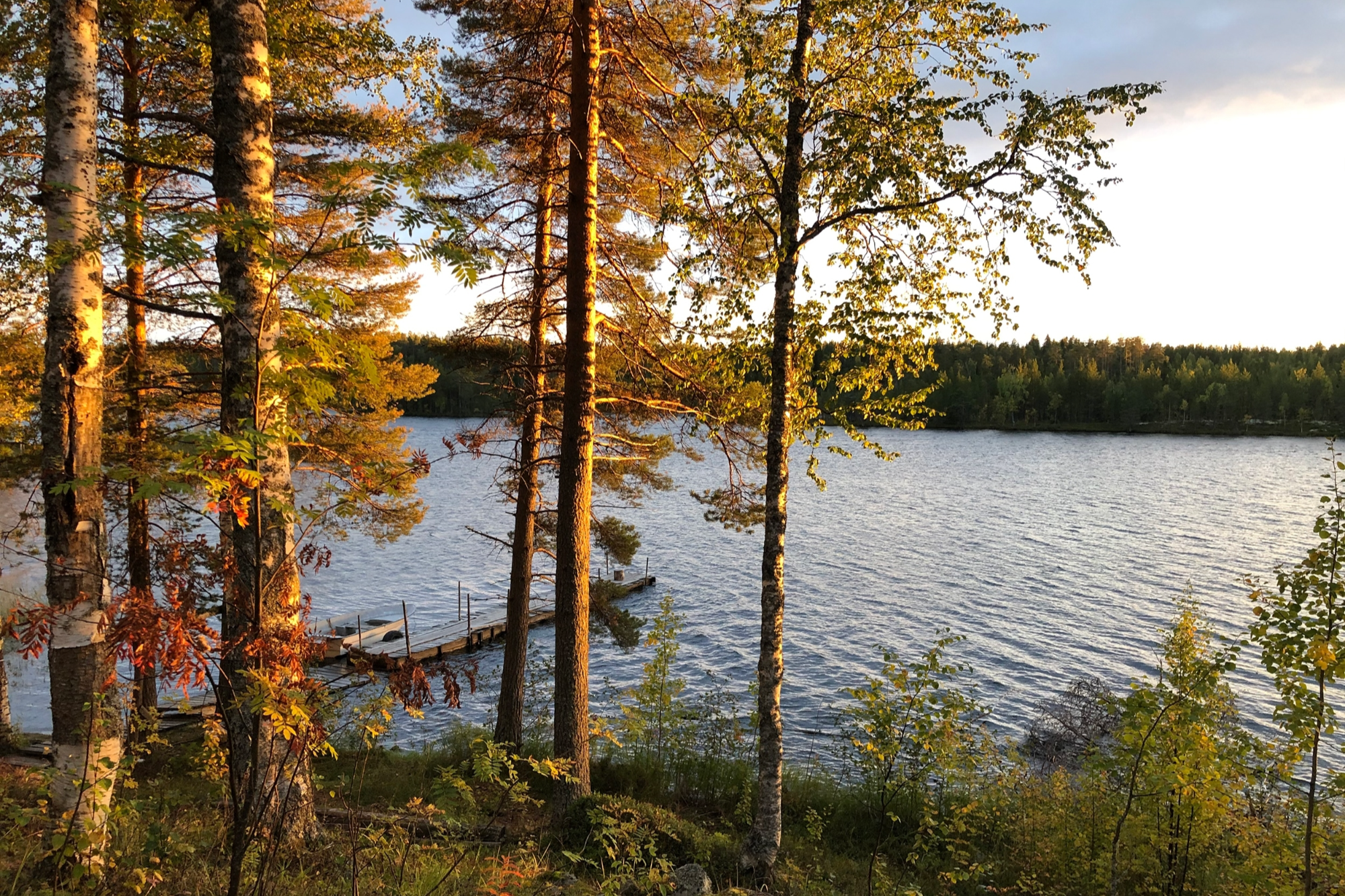 Элемент галереи №1