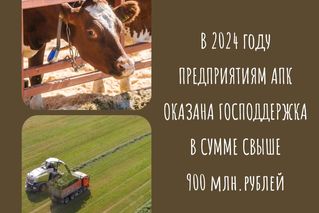 Элемент галереи №0