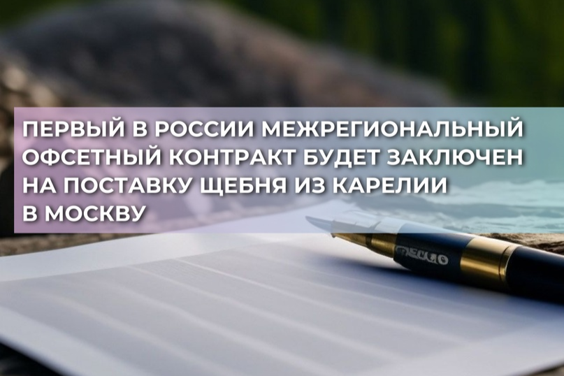 Элемент галереи №0