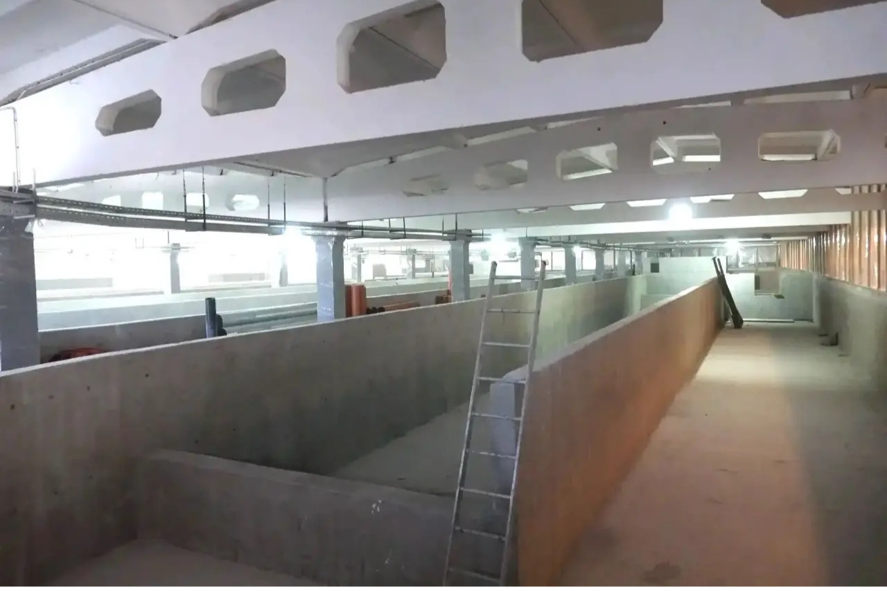 Элемент галереи №0