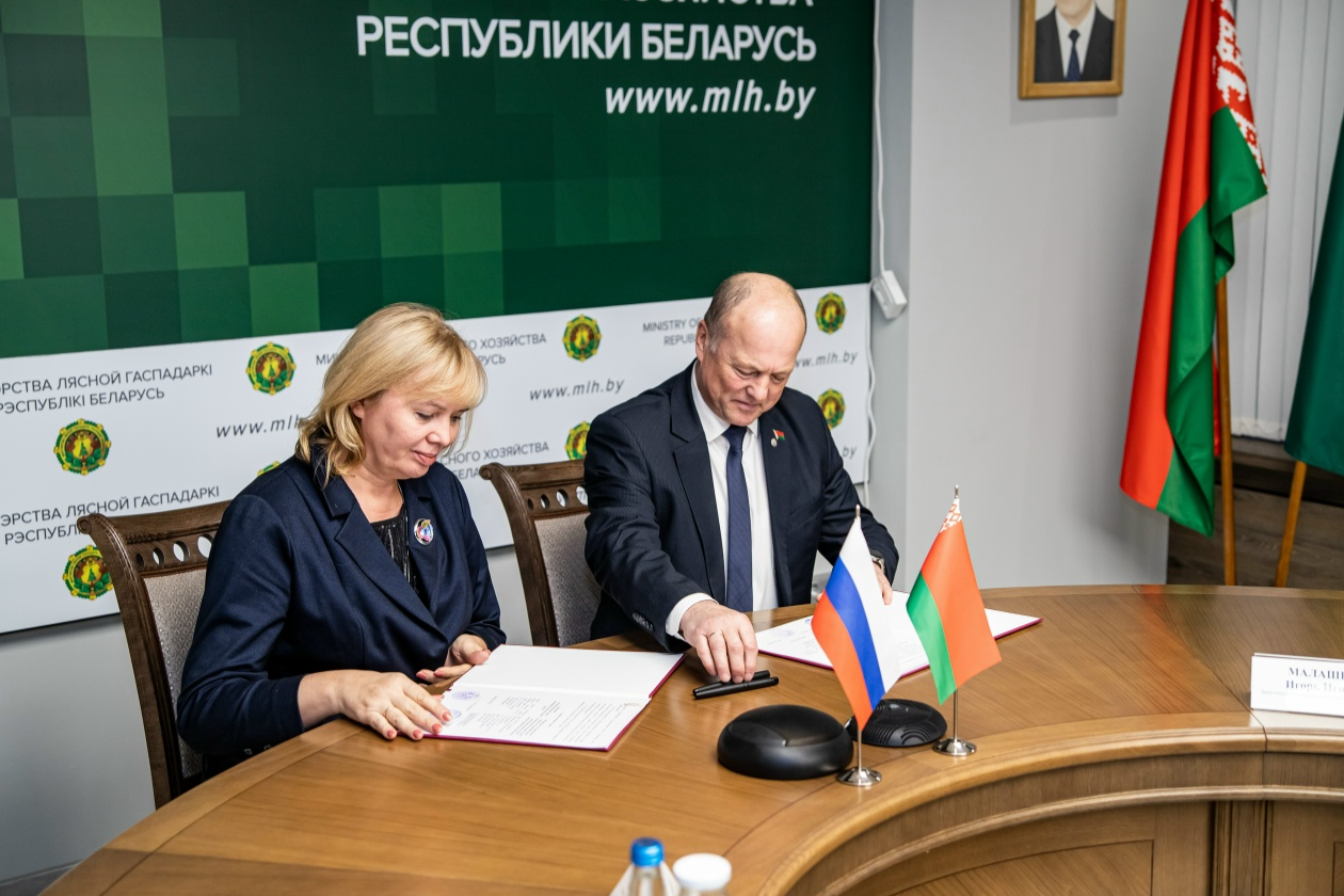 Элемент галереи №2