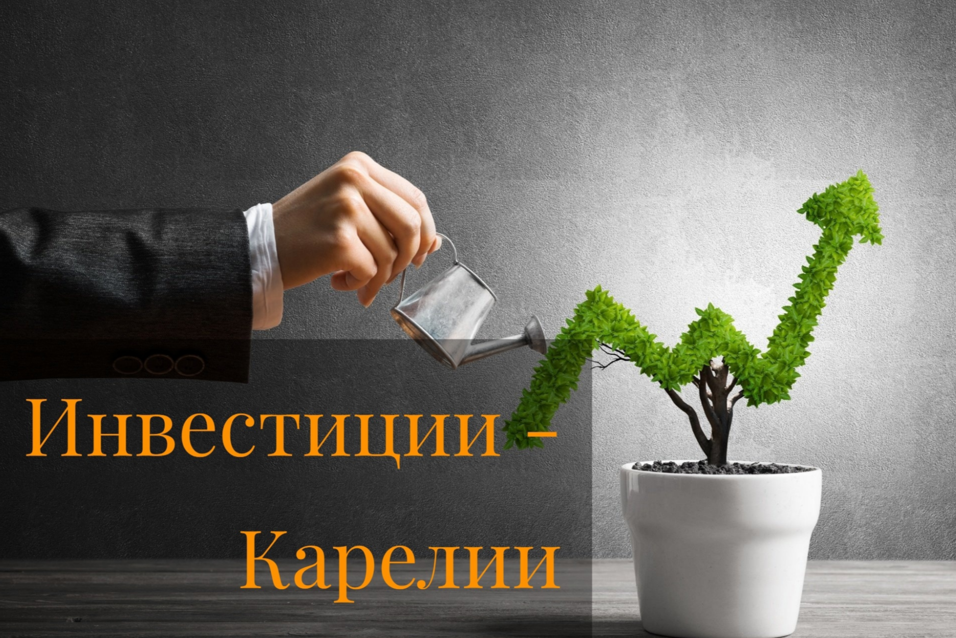 Элемент галереи №0
