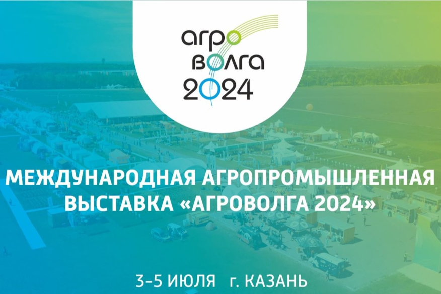 Элемент галереи №0