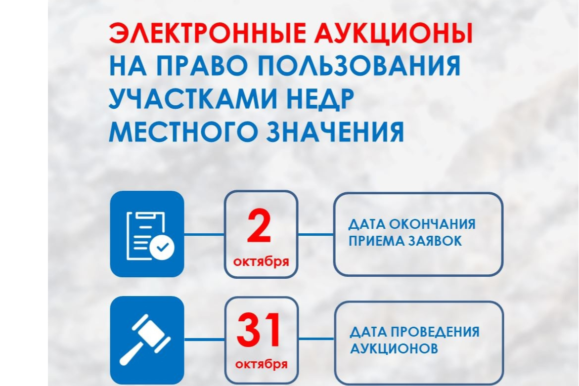 Элемент галереи №0
