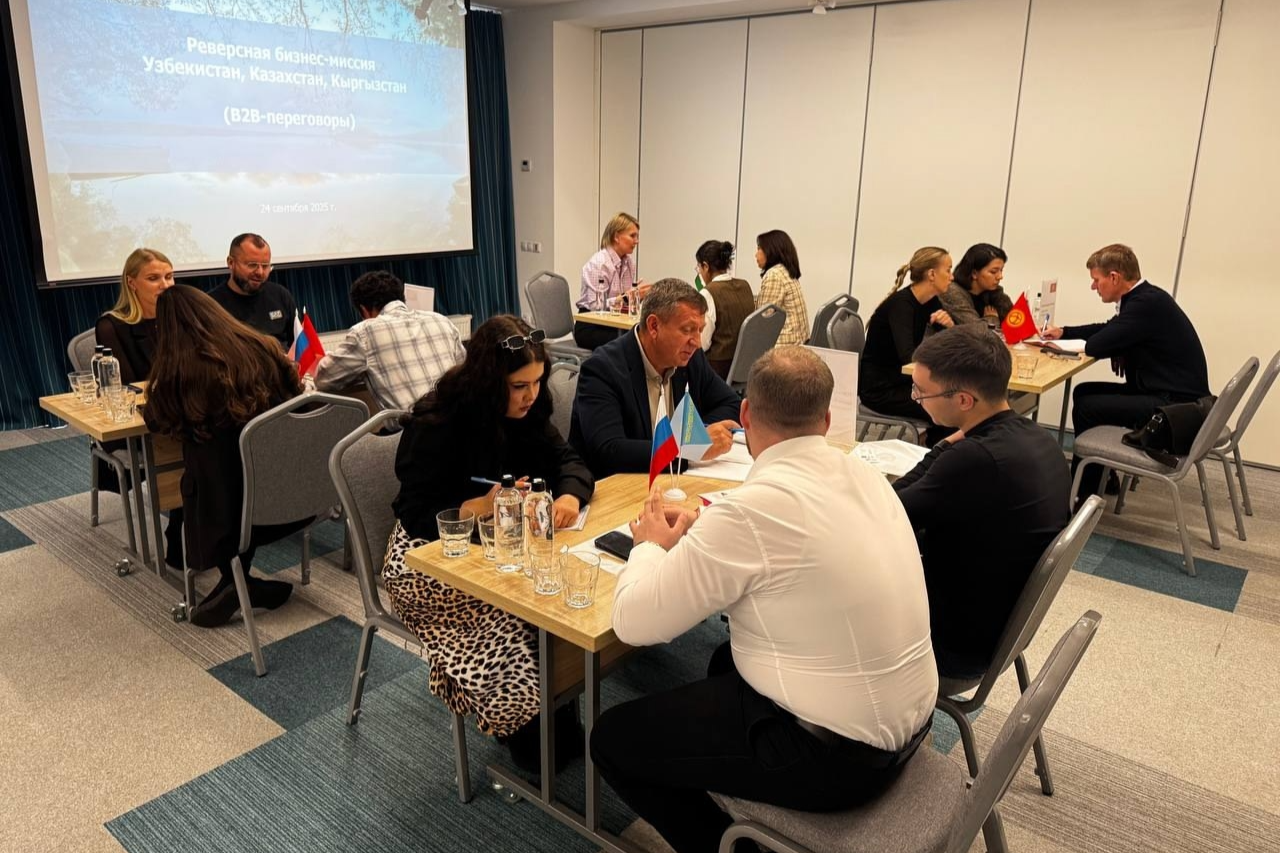 Элемент галереи №5