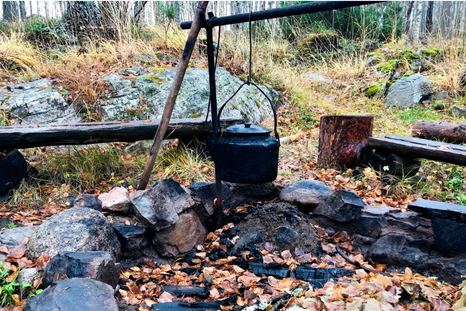 Элемент галереи №0