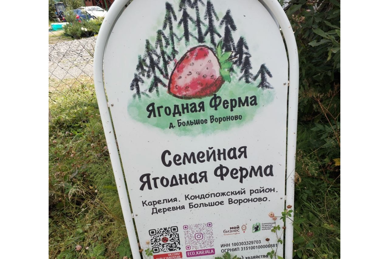 Элемент галереи №3