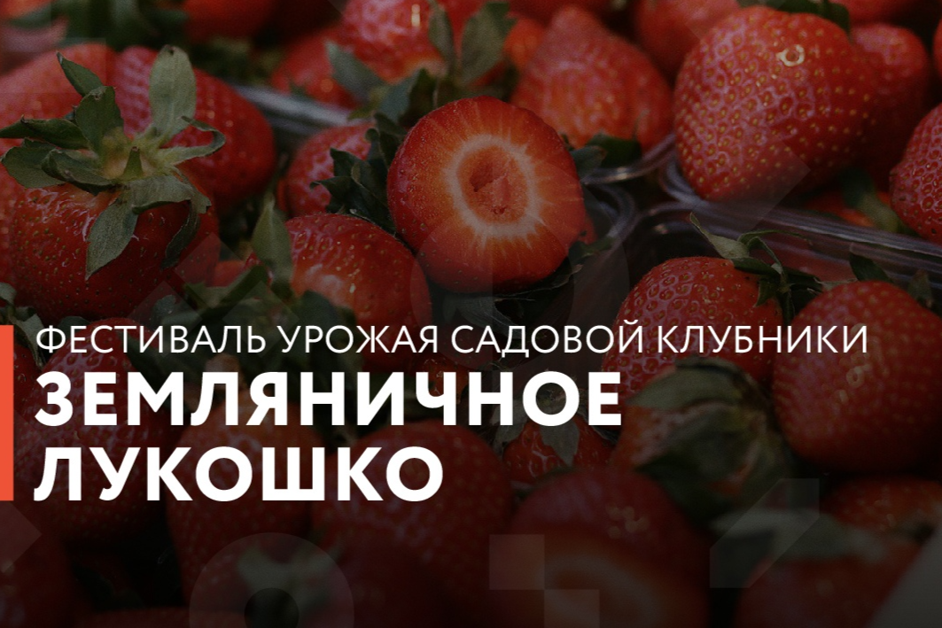 Элемент галереи №0