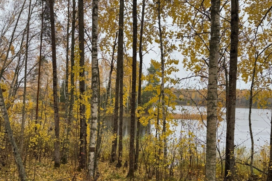 Элемент галереи №0