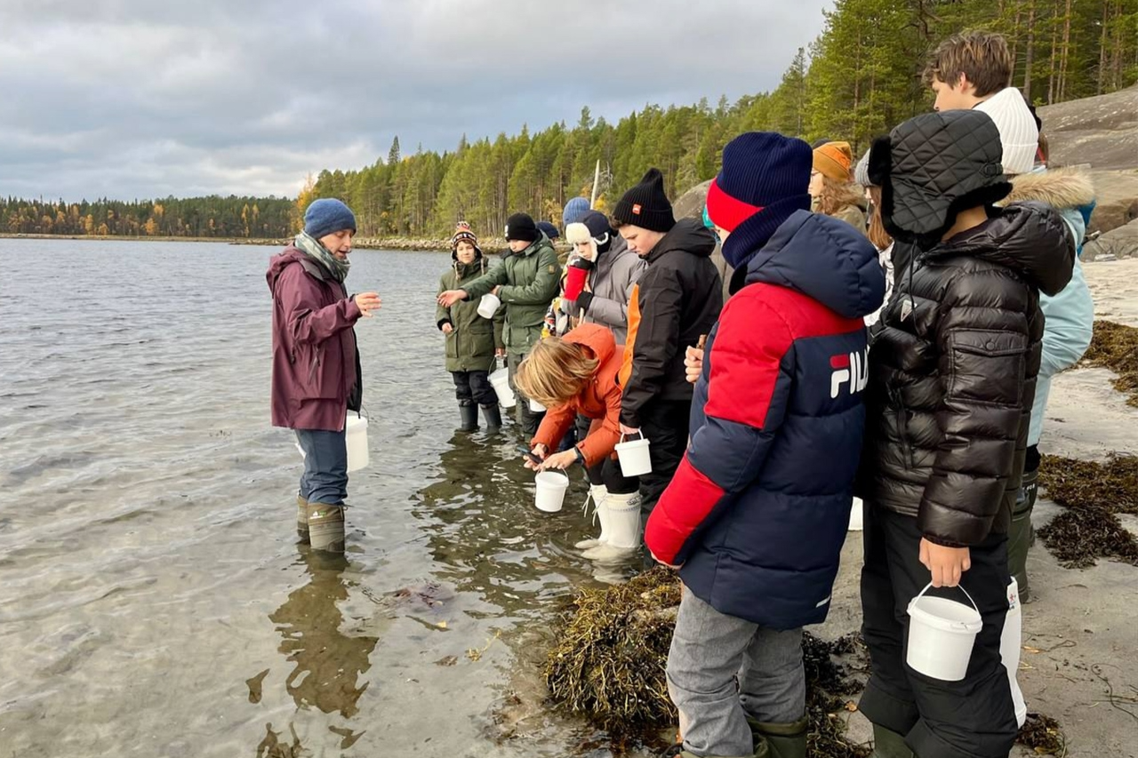 Элемент галереи №1