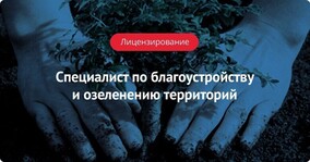 Профстандарт: Специалист по вопросам благоустройства и озеленения территорий