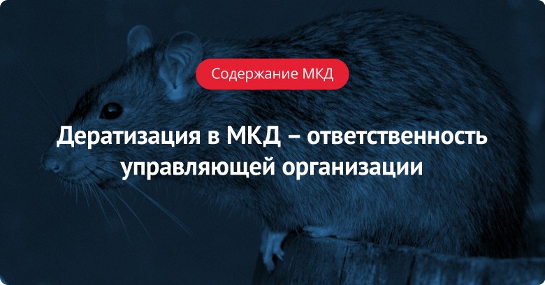 Дератизация в мкд. Дератизация в МКД цена.