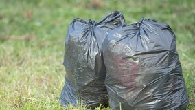 Регоператор требует доплату за вывоз отходов после субботников у МКД