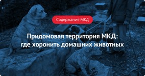 Придомовая территория МКД: где хоронить домашних животных