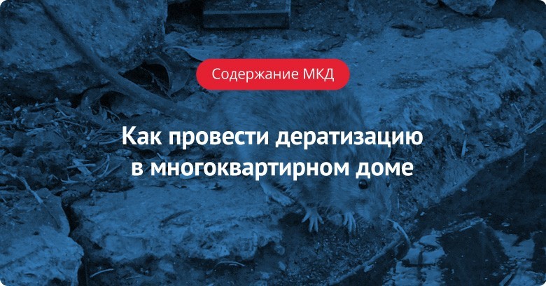 Как провести дератизацию в МКД