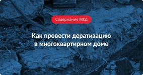 Как провести дератизацию в МКД