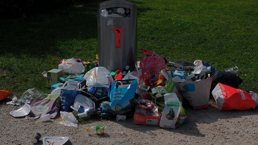 Перевозчик мусора грозит приостановить вывоз ТКО из-за долгов УО