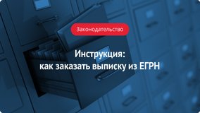 Инструкция: как заказать выписку из ЕГРН